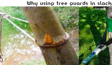 Why using tree guards in Slackline ?